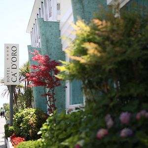 Hotel Ca' D'Oro Tre Stelle Superior Adults Only